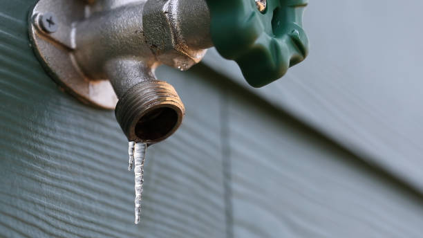 Best Sprinkler Systems  in Toluca, IL