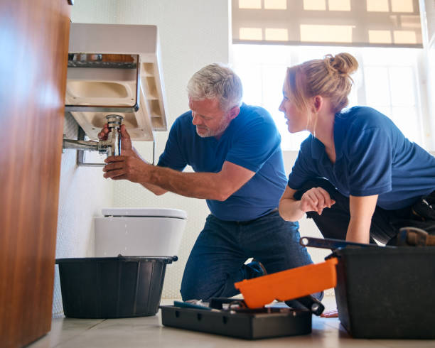 Best Clogged Drain Plumber  in Toluca, IL